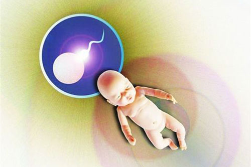 试管婴儿的胚胎在实验室的培养过程