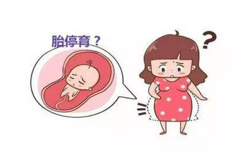 试管婴儿，胚胎停育