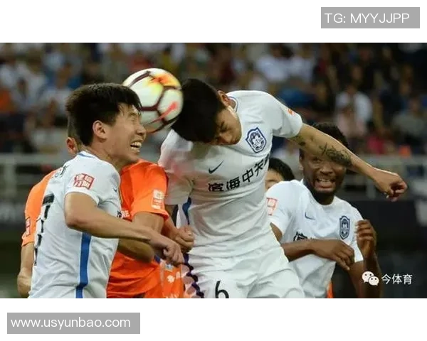 足球跟单子揭秘如何通过分析提升投注成功率与收益