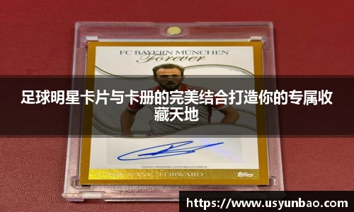 足球明星卡片与卡册的完美结合打造你的专属收藏天地