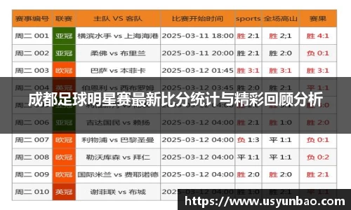 成都足球明星赛最新比分统计与精彩回顾分析