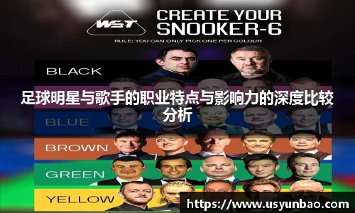 足球明星与歌手的职业特点与影响力的深度比较分析